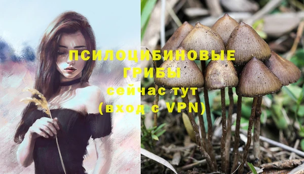jwh Арсеньев